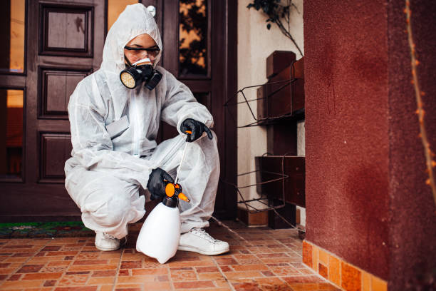 Reliable Termite Control contractor in Lakeland, FL by Nex Pest Control