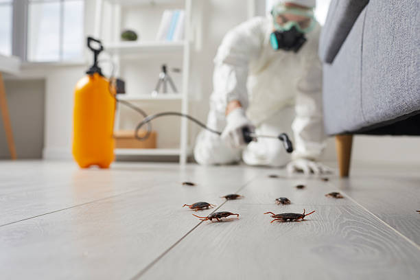 Trusted Cockroach Control service in Lakeland, FL - Nex Pest Control