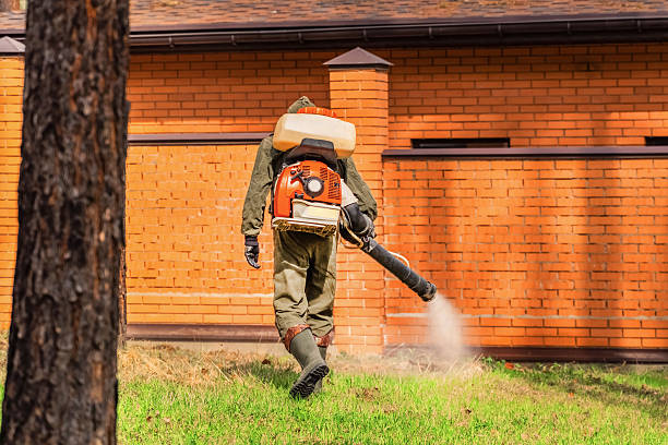 Trusted Termite Control service in Lakeland, FL - Nex Pest Control